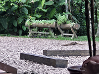confraternizacao_2024_369.jpg